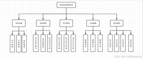 SpringBoot寵物醫(yī)院系統(tǒng) 設(shè)計與實現(xiàn)全解析